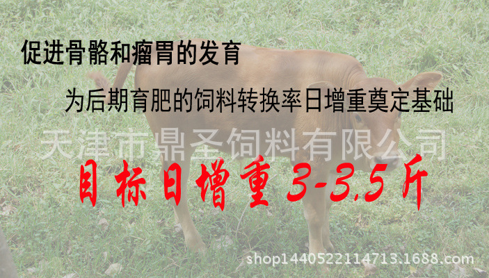 2、育肥牛每天需要多少飼料/肉牛每天吃多少飼料